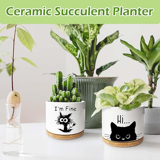 Kwtzkuo® Black Cat Ceramic Pot with Drainage Hole, Cat Planter Succulent Plant Flower Pot, Home Office Decoration for Plant Lovers Friends, Funny Cat Planter for Cat Lover