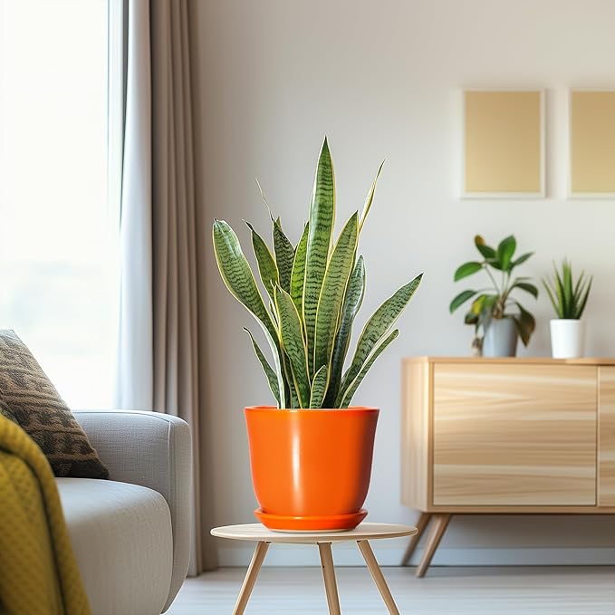 Ceramic Planter - 8 Inch Plant Pot with Drainage Hole and Saucer, Modern Planters for Indoor Outdoor Plants, Round Flower Pot, Home Patio Office Decor, House Warming Gifts, Orange