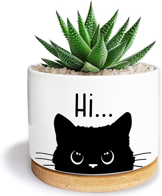 Kwtzkuo® Black Cat Ceramic Pot with Drainage Hole, Cat Planter Succulent Plant Flower Pot, Home Office Decoration for Plant Lovers Friends, Funny Cat Planter for Cat Lover