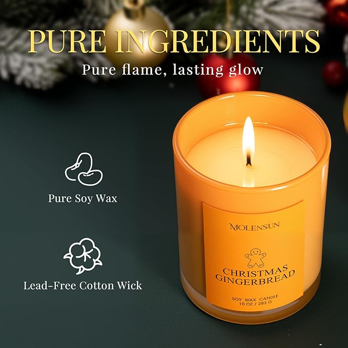 Christmas Candles Gift Set, 3 Pack Total 30oz Soy Scented Candles in Luxury Gift Box, Birthday & Holiday Gifts for Women & Men, Long Lasting Non-Toxic Clean Burn, Elegant Winter Festive Home Decor