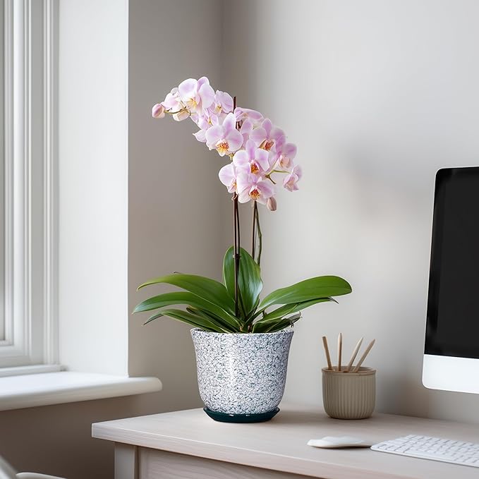 5.6 Inch Plant Pot - Ceramic Plant Pots for Indoor Outdoor, Round Orchid Succulent Pots with Drainage Hole and Saucer, Modern Flower Pot, Home Office Decor, Green-White