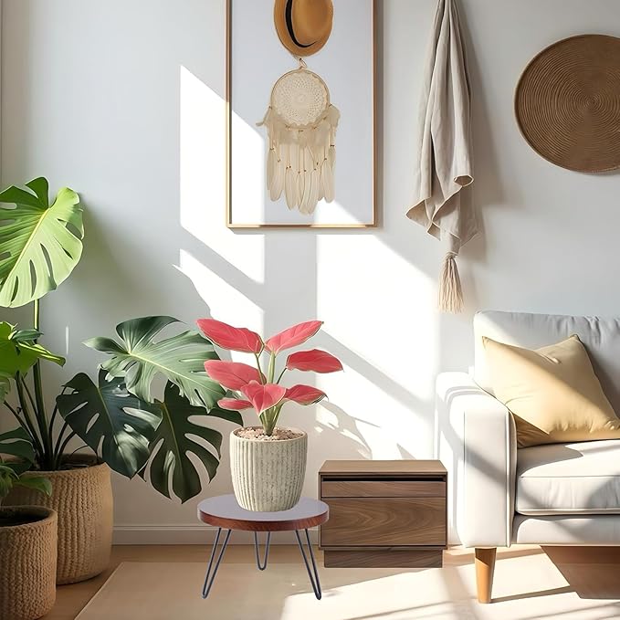 Plant Stand Indoor Outdoor, Wooden plant Stool, Mid Century Plant Stand for Indoor Plants, Wood Modern Plant Holder Rattan Flower, Low Short Boho Rustic Planter Stand Fit 5-15 Inch Pot (Walnut, L)