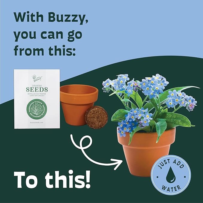 BUZZY Seeds Forget Me Not Flower Grow Kit Bulk 20pk Mini Terracotta Pots Gardening Starter Set for Kids and Adults, Wedding Favors, Baby Shower Prizes, Classroom Project Kits