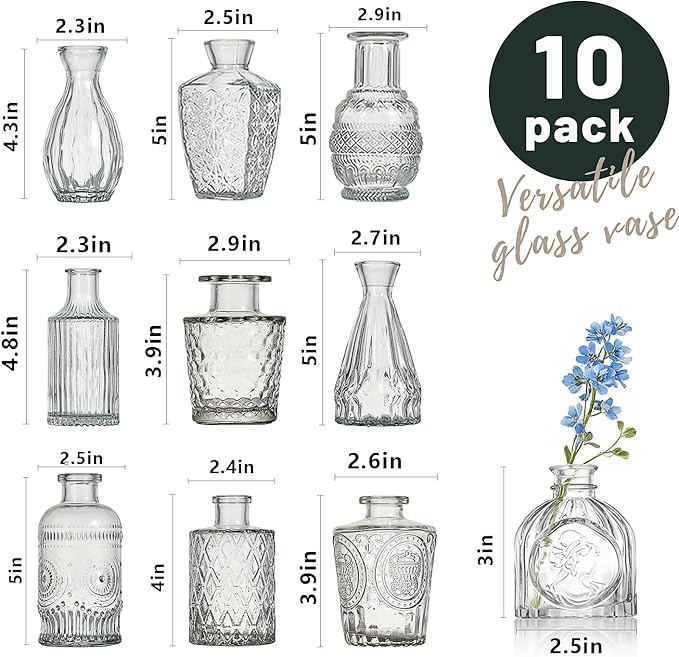 Glass Bud Vase Set of 10 Pcs Small Minimalist Vases for Flowers, Vintage Rustic Home Decor for Table Centerpiece Wedding Party, Modern Clear Aromatherapy Bottle for Living Room Bedroom