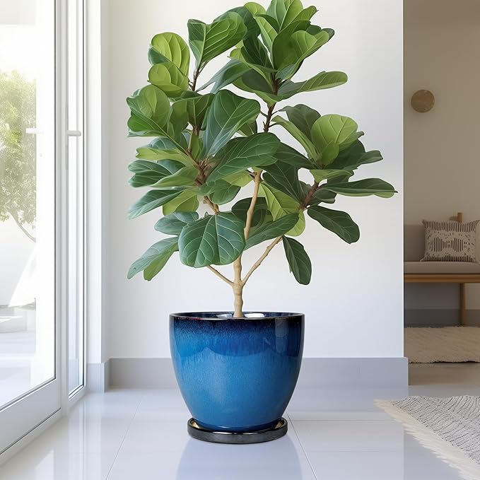 Ceramic Pots for Plants - 10 Inch Planter for Indoor Ourdoor Plants Modern Large Flower Pot with Drainage Hole and Saucer Room Home Office Garden Patio Porch Decor Blue