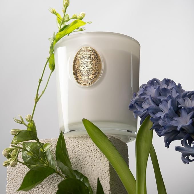 M&SENSE Natural Soy Candle | Vanilla Dream & White | 9.2 oz, 50H Burn Time | Luxury Scented Candle for Relaxation, Gifting, Home Décor | Ideal for Bedroom, Office, Party Ambiance