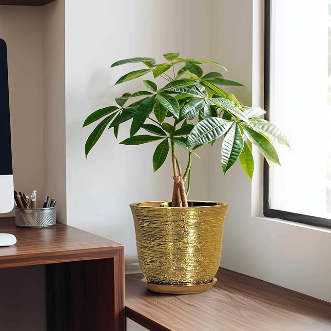 Ceramic Plant Pots - 8 Inch Plant Pot with Drainage Hole and Saucer, Round Planter for Indoor Outdoor, Modern Flower Pot, Decorative Planter, Garden Home Office Decor, Gardening Gifts, Gold