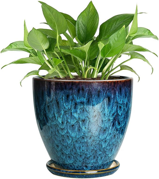 Ceramic Plant Pot, 6.3 Inch Ceramic Planter Pot with Drainage Hole and Saucer, Succulent Round Flower Pot for Indoor Plants Outdoor, Blue