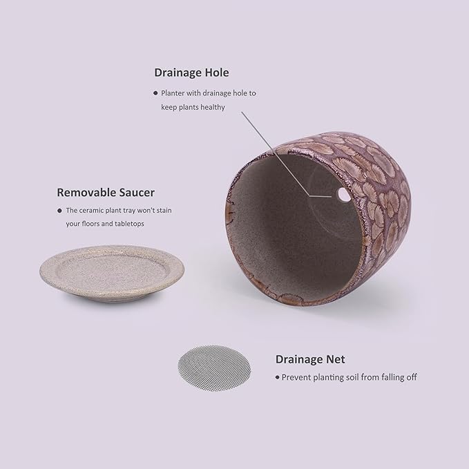 6 in Ceramic Plant Pot with Saucer，Indoor Plant Pot for Plants, Flower Pot with Drainage，Reactive Glaze Red