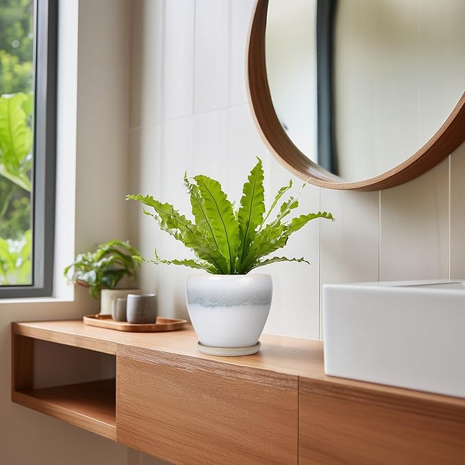 Ceramic Plant Pot - 6 Inch Ceramic Pots for Indoor Outdoor Plants, Decorative Planter with Drainage Hole and Saucer, Modern Plant Pots, Bedroom Room Decor, Plant Lover Gifts, White-Grey