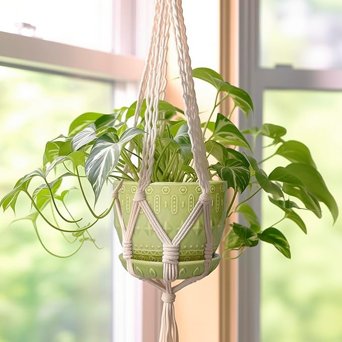 G EPGardening Ceramic Planter 5.5 Inch - Boho Plant Pot Indoor with Drainage Hole and Saucer, Round Flower Succulent Pot for Plants, Plant Lovers Gifts, Garden Office House Decor, Green