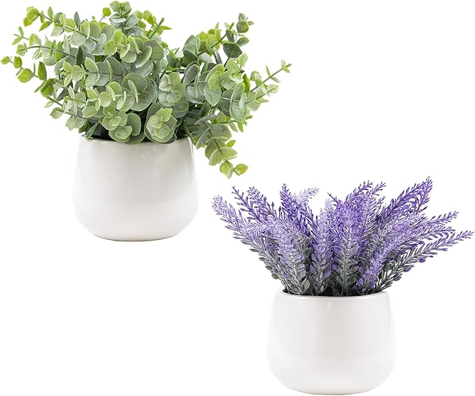 2 Pack in Ceramic Pot Mini Potted Fake Plants Artificial Eucalyptus Lavender for Home Office Desk Shelf Shower Kitchen Centerpiece Farmhouse Room Decor