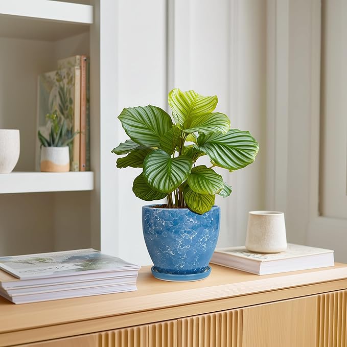 6 Inch Ceramic Plant Pot - Ceramic Planters with Drainage Hole and Saucer, Round Decorative Planter, Modern Planters for Indoor Outdoor Plants, Desk Office Decor, Housewarming Gifts, Blue