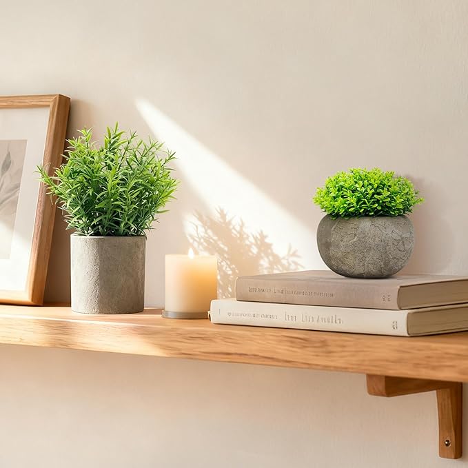 Artificial Potted Plants Faux Greenery in Cement Pots for Shelf, Bookshelf, Office or Home Decor, Small Decorative Fake Plants for Modern Indoor Display