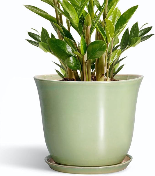 Ceramic Pots for Plants - 10 Inch Planter with Drainage Hole and Tray, Round Large Planter for Indoor Plant Outdoor, Modern Flower Pot, Garden Office Home Decor, Gift for Plant Lover, Green