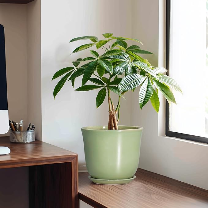 Ceramic Flower Pots - 8 Inch Plant Pot Drainage Hole and Saucer, Round Plant Pot with for Indoor Outdoor, Modern Planter, Decorative Planter, Home Porch Room Decor, Housewarming Gift, Green