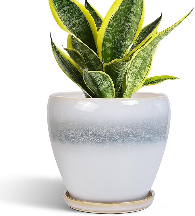 Ceramic Plant Pot - 6 Inch Ceramic Pots for Indoor Outdoor Plants, Decorative Planter with Drainage Hole and Saucer, Modern Plant Pots, Bedroom Room Decor, Plant Lover Gifts, White-Grey