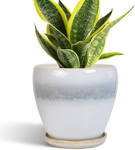 Ceramic Plant Pot - 6 Inch Ceramic Pots for Indoor Outdoor Plants, Decorative Planter with Drainage Hole and Saucer, Modern Plant Pots, Bedroom Room Decor, Plant Lover Gifts, White-Grey