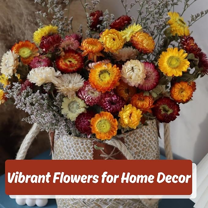 30Pcs Dried Strawflowers Bouquet, 14 - 17" Real Dried Daisy Flowers with Long Stems for Wedding, Farmhouse, Table & Home Decor, Yellow & Orange Fall Floral for Vase or DIY Arrangement