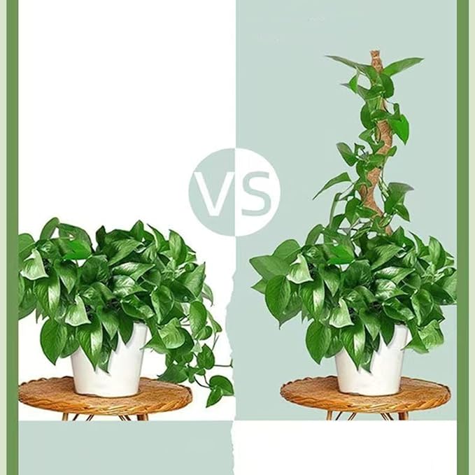 Moss Pole,47 Inch Monstera Plant Support, Upgraded 7mm Aluminum core Moss Poles for Climbing Indoor Plants DIY, Coco Coir Plant Pole Moss Plant Stick Support Stake Kit for Potted Plants Pothos