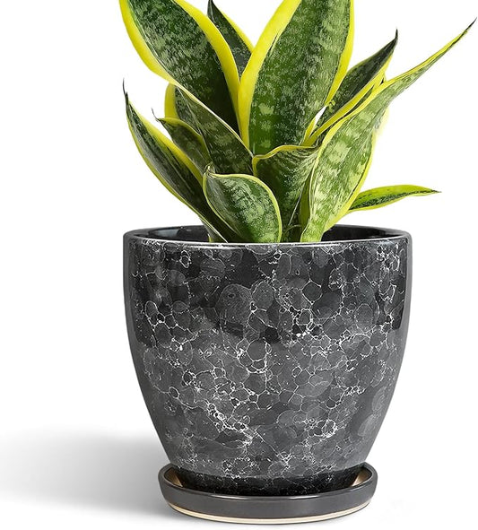Ceramic Pots for Plants - 6 Inch Ceramic Planter with Drainage Hole and Saucer, Modern Planters for Indoor Outdoor Plants, Round Planter, Home Garden Decor, Plant Lover Gifts, Grey