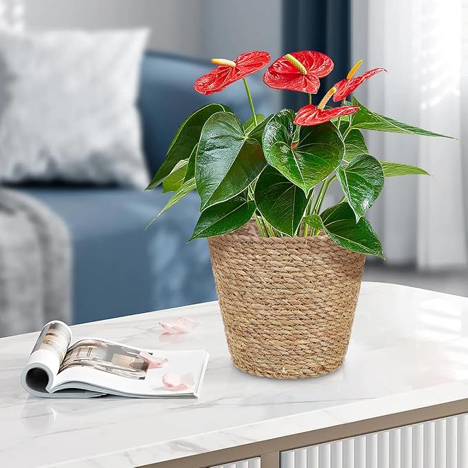 Hemoton Wicker Plant Flower Basket Seagrass Woven Pot Decorative Indoor Planter Versatile Home Storage