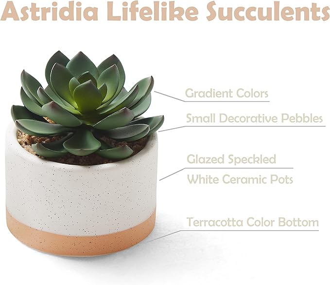 Artificial Succulent Plants in Ceramic Pots, Faux Assorted Succulents Fake Cactus Plants for Home Decor, Bedroom, Office, Desk, Living Room, Set of 3…