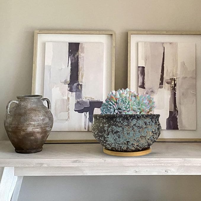 8 Inch Succulent Pot with Drainage and Saucer Glazed Terracotta Round Ceramic Succulent Planter Cactus Bonsai Plant Pot (Black)