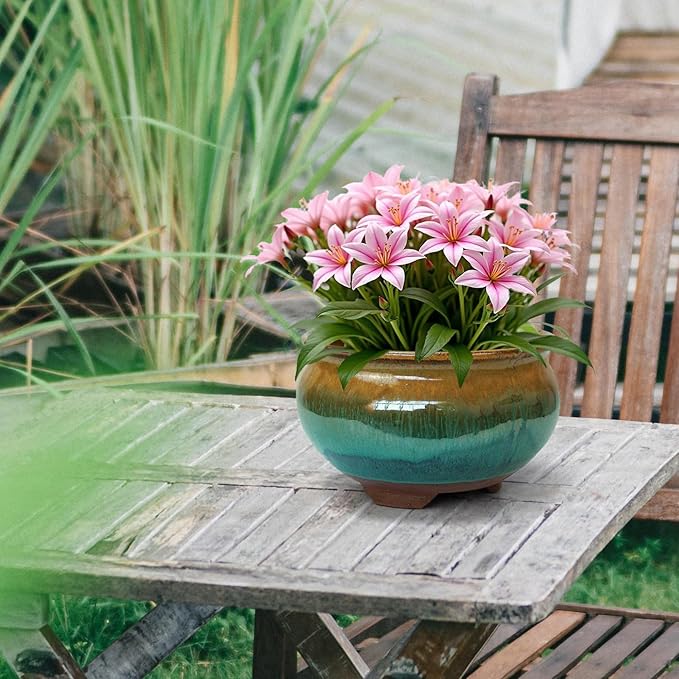 8 Inch Glazed Terracotta Plant Pot Round Ceramic Succulent Planter Pot with Drainage and Saucer Cactus Clay Pot Bonsai Pot (Brown and Green)