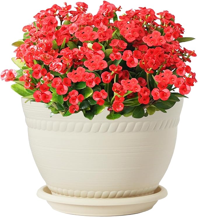 Macrame Plant Hanger with Pot, 3 Set Hanging Planters for Indoor Plants, Handmade Cotton Rope Boho Home Decor, Idea Gift for Anyone, Includes Plant Holders, Pots, Plates and Hooks (Mixed Color-3)