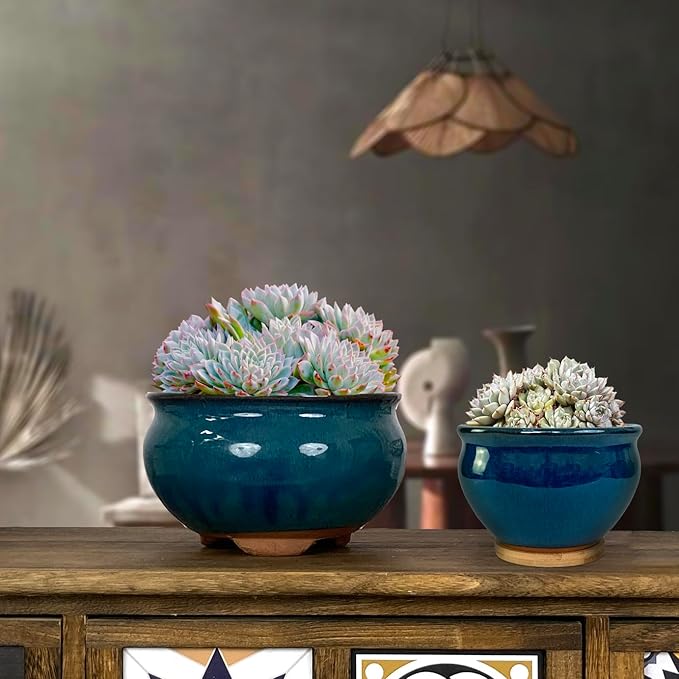 8 and 5.5 Inch Succulent Pot with Drainage and Saucer Glazed Terracotta Round Ceramic Succulent Planter Cactus Bonsai Plant Pot (Dark Green)