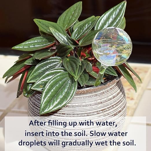 Clear Rainbow Glass Plant Automatic Watering Bulb, 4pcs Garden Flower Self Watering Planter Inserts, Automatic Plant Waterer System Set Self Watering Spikes to Support Plant Health