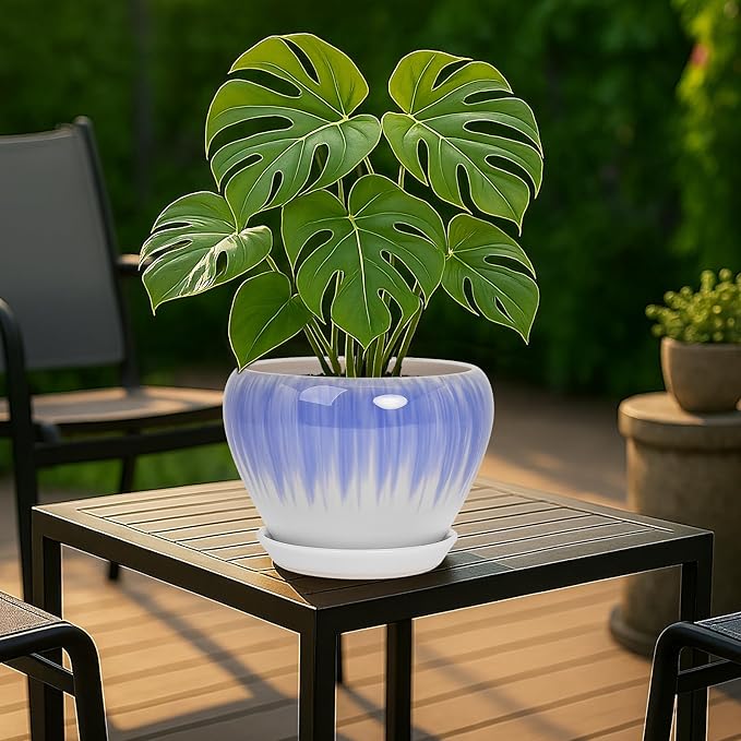 Deep Dream 8 Inch Plant Pots- Ceramic Pots for Plants with Drainage Hole and Saucer, Large Planter Pot for Indoor Plants Outdoor Decor, White&Blue