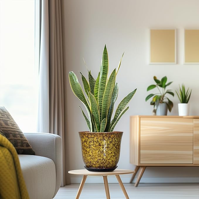 Ceramic Planter - 8 Inch Plant Pot for Indoor Outdoor, Round Flower Pots with Drainage Hole and Saucer, Modern Planter, Decorative Plant Pots, Home Office Decor, Gardening Gifts, Yellow