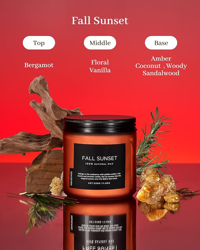 M&SENSE Baltic Amber Fall Scented Candle, 11.6oz Clean Natural Soy Wax Non Toxic Up to 70 Hours Burn Time 2 Cotton Wick Housewarming Candle for Home Scented