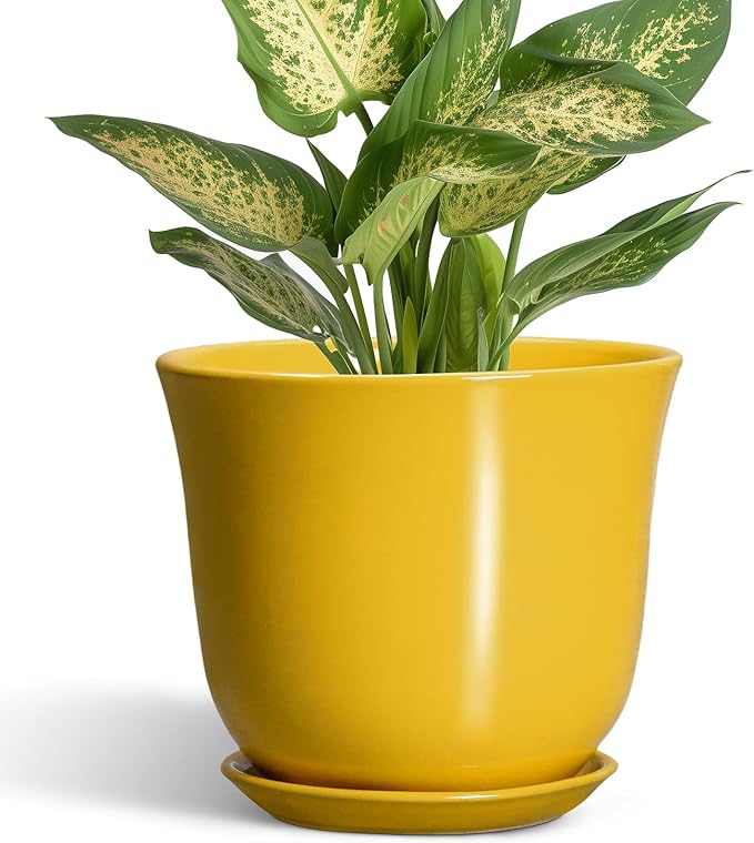 Ceramic Plant Pots - 5.6 Inch Planter with Drainage Hole and Saucer, Round Small Plant Pot for Indoor Outdoor, Modern Flower Succulent Orchid Pot, Desk Decor, Plant Lover Gifts, Yellow