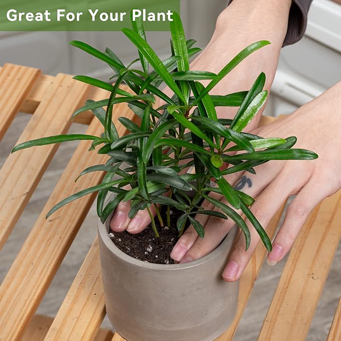 Ekirlin 3.5 inch Plant Pot Indoor, Grey Cement Flower Planters for Home Decor, Modern Succulents Containers with Drain Hole, Removable Rubber Stopper, Non-Slip Soft Pad, for Most Plants and Flowers