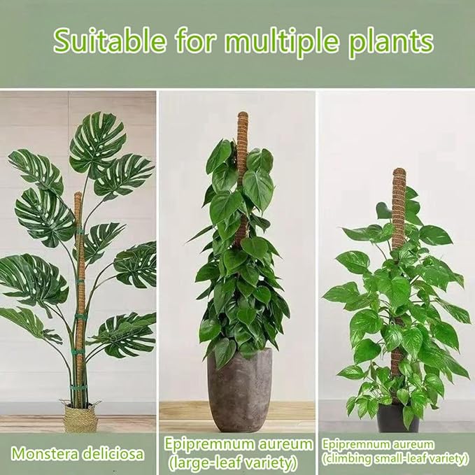 Moss Pole,63 Inch Monstera Plant Support, Upgraded 7mm Aluminum core Moss Poles for Climbing Indoor Plants DIY, Coco Coir Plant Pole Moss Plant Stick Support Stake Kit for Potted Plants Pothos