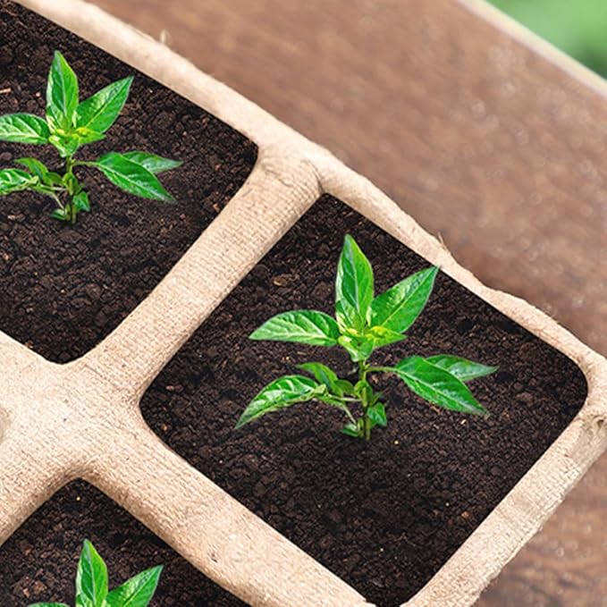 10pcs Biodegradable Paper Plant Nursery Pots Multi-Cell Seedling Trays for Gardening Herb Growing Containers Safe Planting Cups