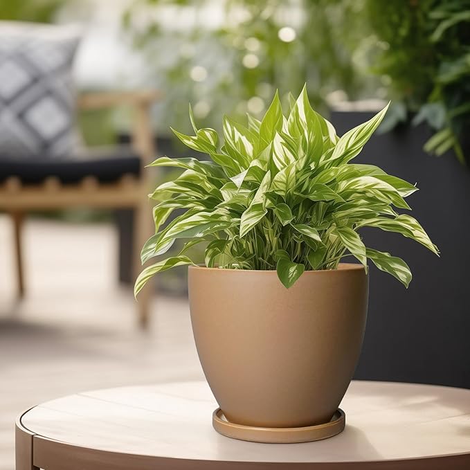 6.8 Inch Planter - Ceraimc Pots for Indoor Outdoor Plants Round Planters Modern Flower Pot with Drainage and Tray Home Garden Decor Brown