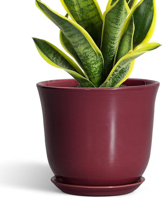 Ceramic Planter - 8 Inch Plant Pot with Drainage Hole and Saucer, Round Planter for Indoor Outdoor, Modern Flower Pots, Porch Garden Home Decor, Gifts for Plant Lovers, Red