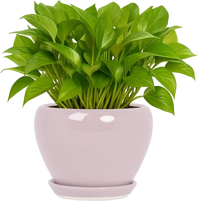 Deep Dream 6 Inch Plant Pots- Ceramic Planter Pot with Drainage Hole and Saucer, Round Flower Pot for Indoor Outdoor Succulent, Snake Plants and Cactus, Pink