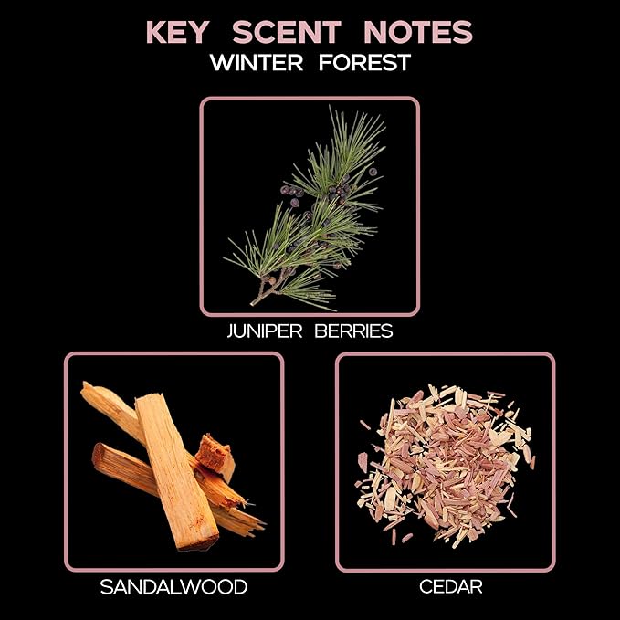 LOVSPA Reed Diffuser Set, Winter Forest Pine Scented Oil Diffuser with Sticks, Home Fragrance Accessories for Bathroom Shelf Decor, Aroma Diffusers for Home or Office Desk, USA Made