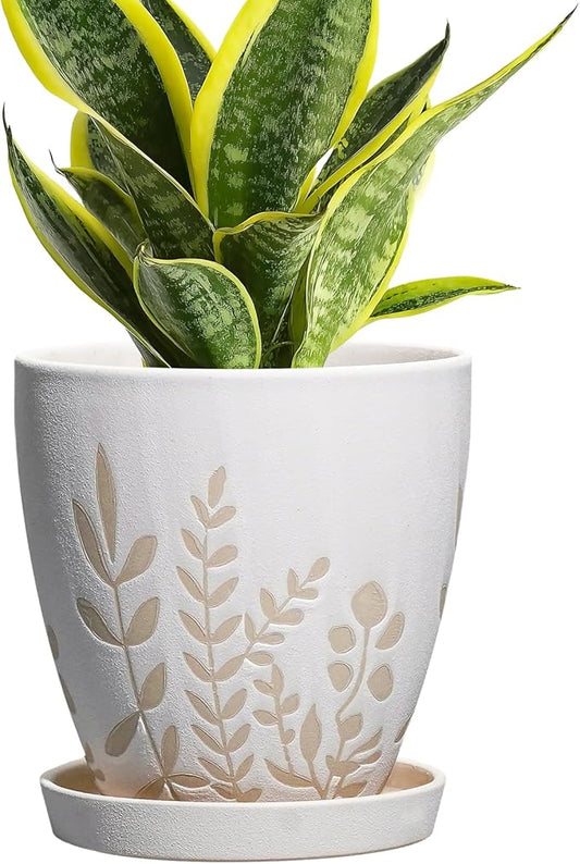 6 Inch Plant Pot with Drainage and Saucer - Small Decorative Flower Pot for Succulents Herbs Plants, Indoor Succulent Planter, Desk Office Room Home Decor, Gifts for Plant Lovers, White