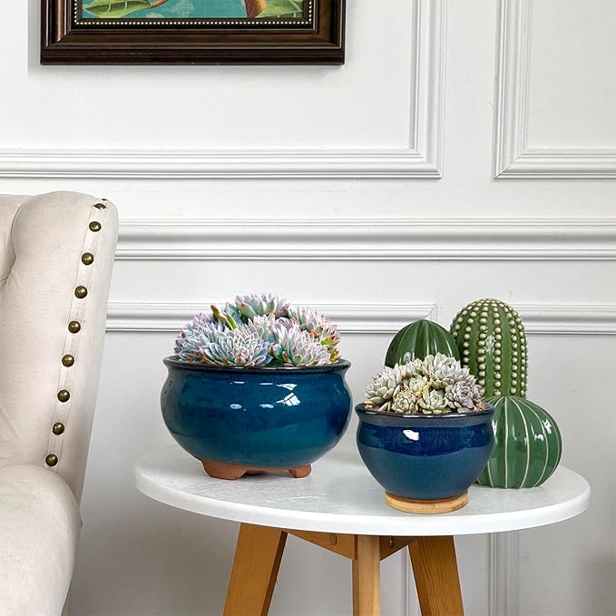 8 and 5.5 Inch Succulent Pot with Drainage and Saucer Glazed Terracotta Round Ceramic Succulent Planter Cactus Bonsai Plant Pot (Dark Green)