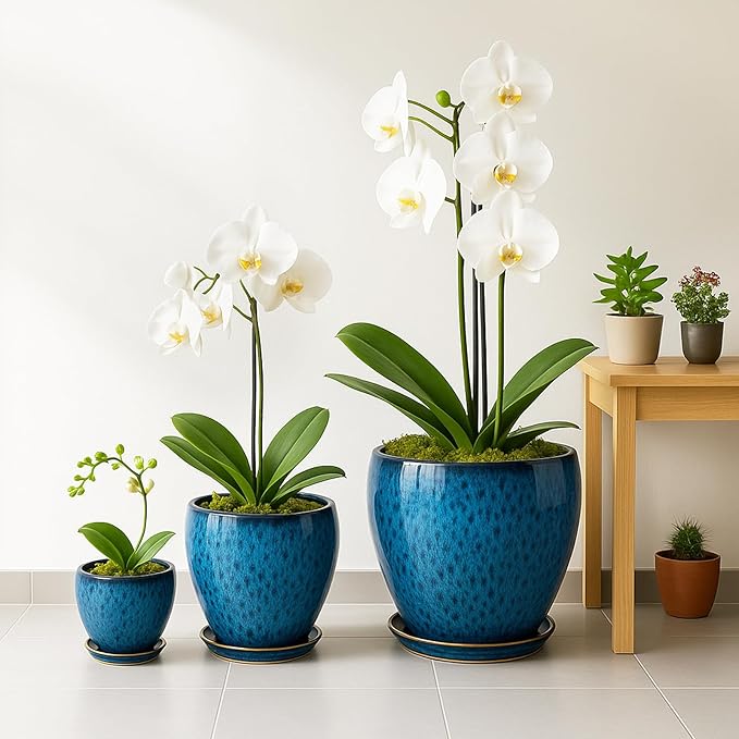 Deep Dream 10 Inch Plant Pot- Ceramic Planter Pot Round Plant Pots for Indoor Plants Outdoor Large Flower Pot with Drainage Holes & Trays, Blue