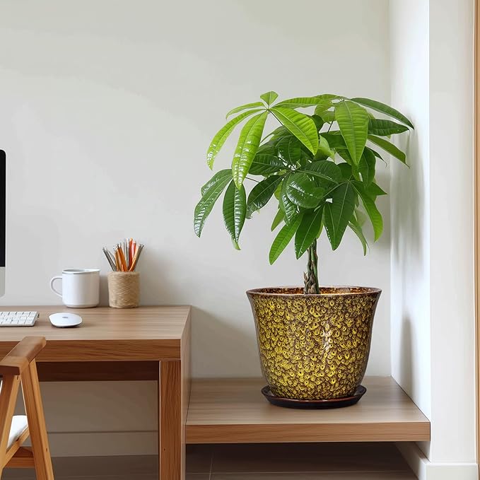 Ceramic Pots for Plants - 10 Inch Plant Pot for Indoor Outdoor, Round Planter with Drainage Hole and Saucer, Modern Flower Pot, Decorative Planters, Home Garden Decor, Birthday Gift, Yellow