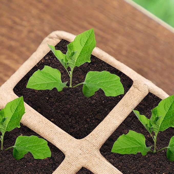 Biodegradable Plant Nursery Cups with Labels and Seedling Starters Plant Starting Pots for Vegetable Seedlings and Cuttings Gardening Starter Kit for Home and Nursery Use