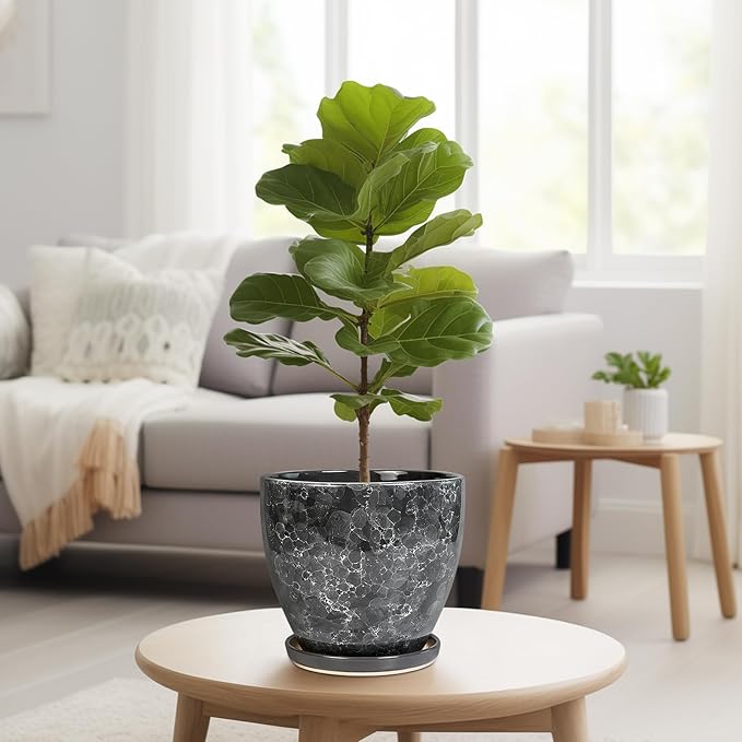 Ceraimc Planter - 8 Inch Plant Pot for Indoor Outdoor Plants, Decorative Round Planters, Flower Pot with Drainage and Saucer, Garden Porch House Room Decor, Plant Lover Gifts, Grey