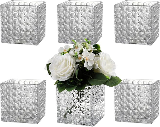 Square Vases Set of 6, 5" x 5" x 5" Square Glass Vases for Flowers, Clear Flower Vase for Centerpieces, Small Bubble Vase for Wedding, Party, Home, Office, Parties, Events